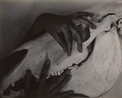  by Alfred Stieglitz