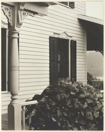  by Alfred Stieglitz