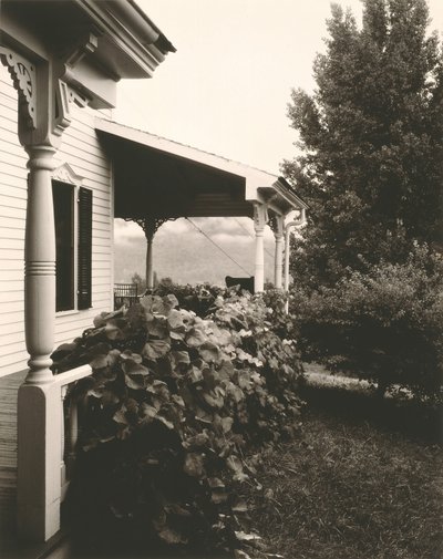 Ev ve Üzüm Yaprakları, 1934. by Alfred Stieglitz