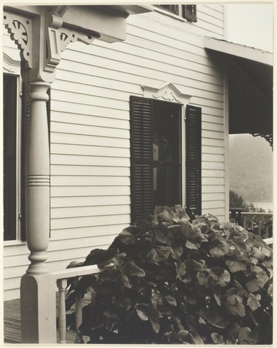 Ev ve Üzüm Yaprakları, 1934. by Alfred Stieglitz