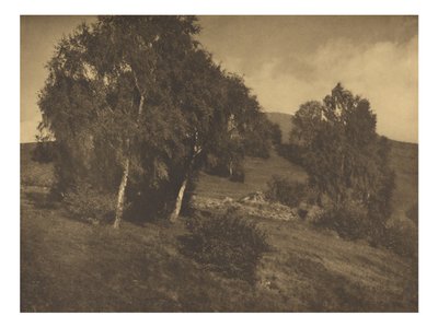  by Alfred Stieglitz