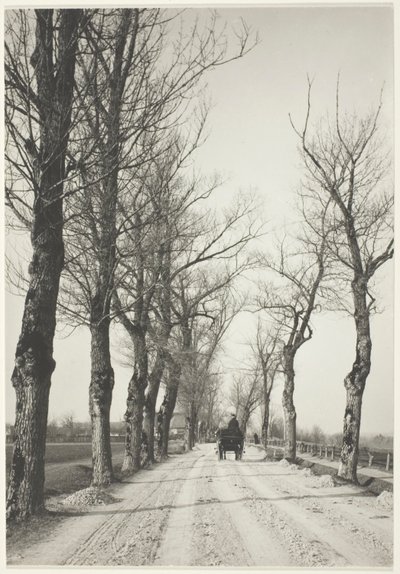 Kasım Günleri by Alfred Stieglitz
