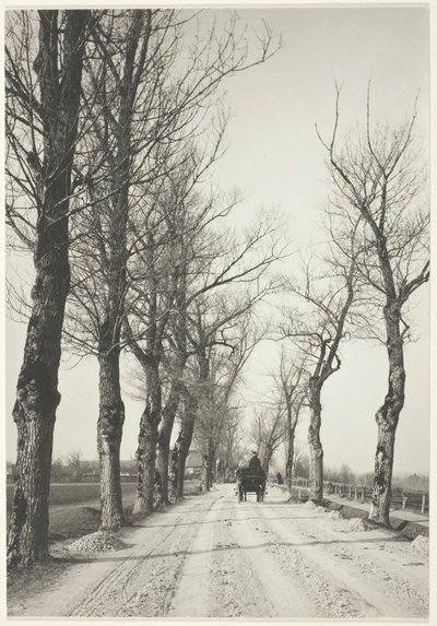 Kasım Günleri, 1887, 192039