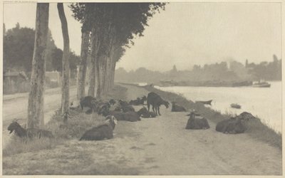 Seine