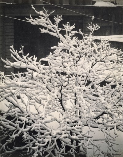 Pencere Dışı - 291 - N.Y. by Alfred Stieglitz