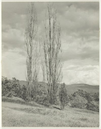 Kavaklar—George Gölü by Alfred Stieglitz