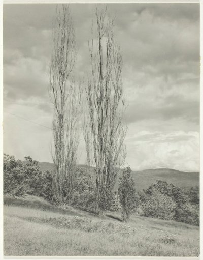 Kavaklar - George Gölü, 1935. by Alfred Stieglitz