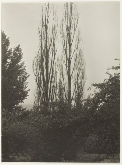 Kavak - George Gölü by Alfred Stieglitz