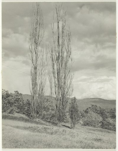 Kavak George Gölü by Alfred Stieglitz