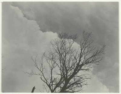 Ağaç Seti 3 by Alfred Stieglitz