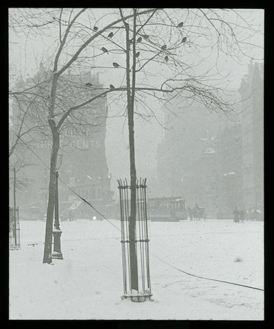  by Alfred Stieglitz