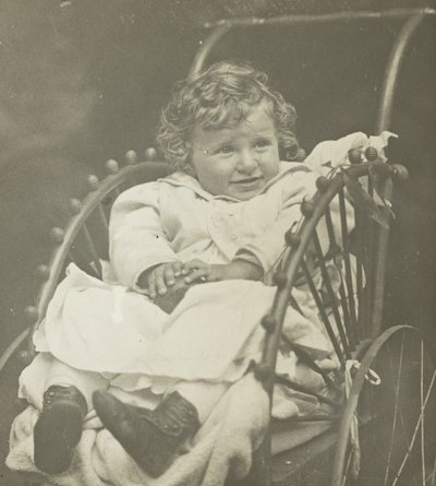 İsimsiz Howard Schubart, Arabada, 1893. by Alfred Stieglitz