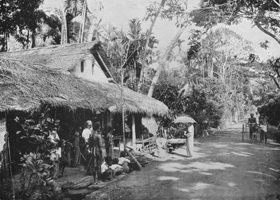 Boralesgamuwa, c1890, 1910 by Alfred William Amandus Plate