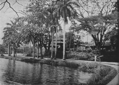 Kandy - Gölün Pitoresk Bir Köşesi, c1890, 1910 by Alfred William Amandus Plate