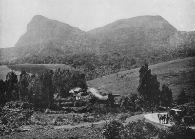Hakgalla Yolunda. Uzaktaki Hakgalla Kayası, c1890, 1910 by Alfred William Amandus Plate