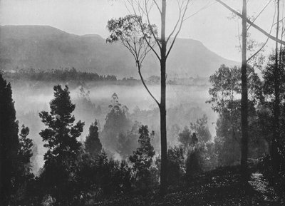 Nuwara Eliya