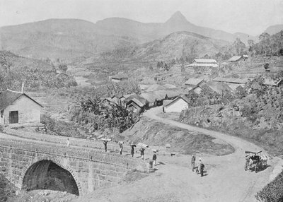 Adams Peak