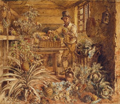 Ananas ve Çeşitli Sebzelerle Saksı Barakasında Bir Bahçıvan (kağıt üzerine kalem, mürekkep ve wc) by Alfred William Hunt