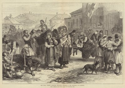 Savaş, Yaralı Askerleri Ivanitza
