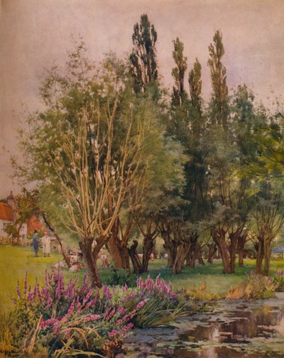 Mor Gevşeklik, c1891 by Alfred William Parsons