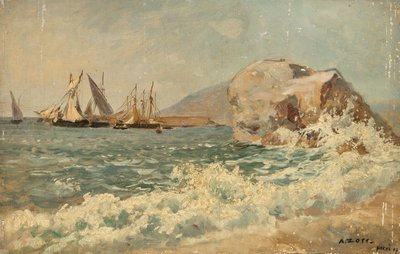 Nervi