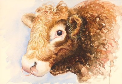 Boğa Adam, 2016, suluboya by Alison Cooper