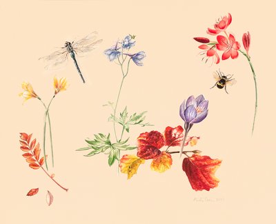 sonbahar çiçekleri ve böcekler by Alison Cooper