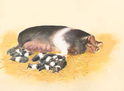 Eyerli Domuz ve domuz yavruları, 2019 (pastel) by Alison Cooper