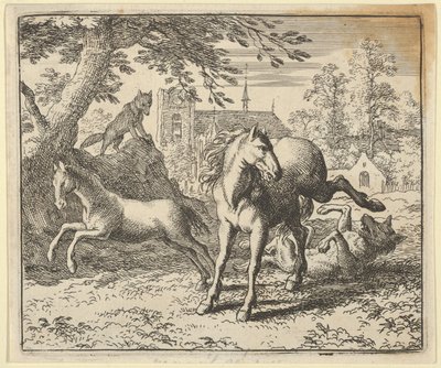 Renard, Aslan