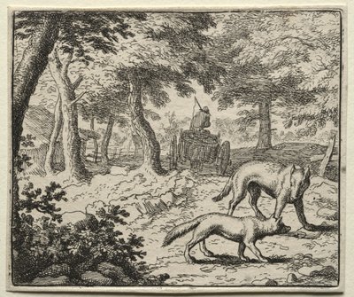 Tilki Reynard: Reynard