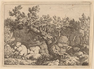 Büyük Bir Ağacın yanında Sporcu, muhtemelen c. 16451656. by Allart van Everdingen