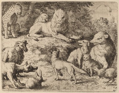 Hayvanlar, Reynard