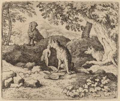 Porsuk, Reynard
