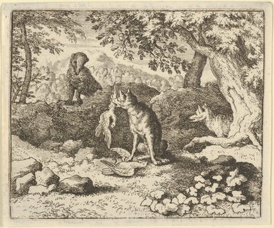 Porsuk, Renard