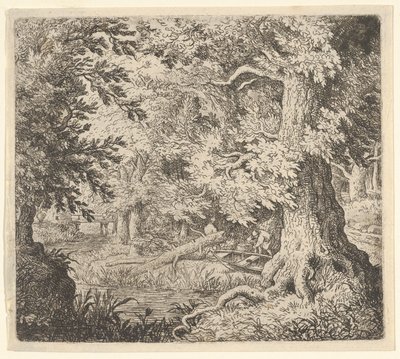 Ormandaki Dere, 17. yüzyıl. by Allart van Everdingen