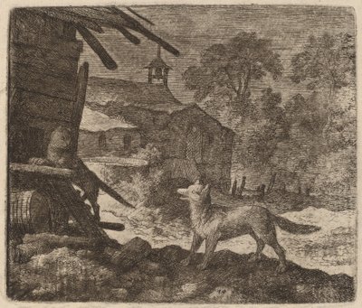 Kedi, Reynard