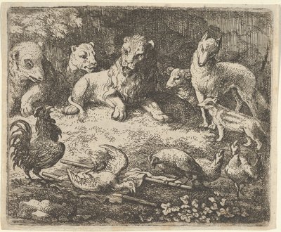 Horoz, Renard