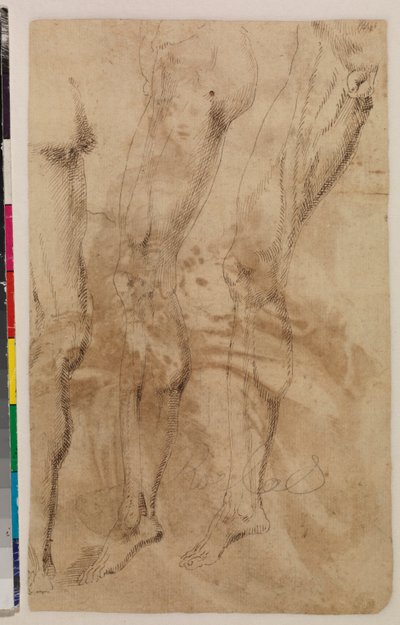 Bir erkek bacağının üç çalışması (verso) c.1537 (döşemeli kağıt üzerine kalem ve kahverengi mürekkep) [bkz. 5948317] by Alonso (workshop of) Berruguete