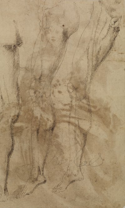 Bir erkek bacağının üç çalışması, c.1637 by Alonso Berruguete