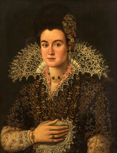 Bir Bayan Portresi by Alonso Sánchez Coello
