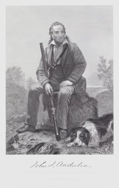 John James Audubon (gravür) by Alonzo (after) Chappel