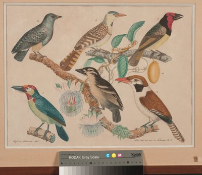Çiçekler ve meyvelerle çarkıfelek dalında altı silindir by Aloys Zötl