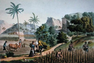 Guam Adası: Pomel tarafından oyulmuş 