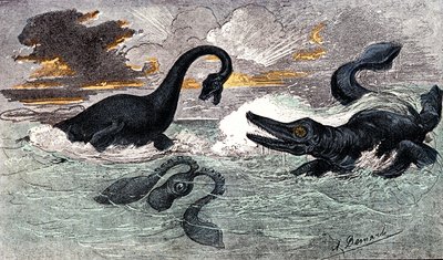 Lias Dönemi (Alt Jura): Plesiosaur ve Ichtyosaur, doğal yaratılış ve canlılar (Jules Rengade tarafından) Çizim A. Demarle. 1885 by Alphonse Demarle