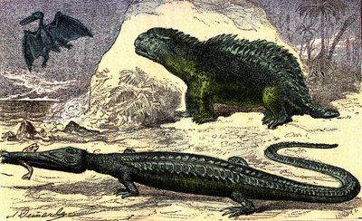 Tarih Öncesi - Jura Dönemi: Teleosaur ve Hyleosaur. Üst kattaki Pterodactyl. Doğal Yaratılış ve Canlılar. A. Demarle'ın çizimi. 1885 by Alphonse Demarle