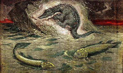 Balıktan sürüngenlere geçiş: Balıktan proteozor (üstte) sürüngen, kömür dönemi. Sol altta Holoptychius ve sağda L'Osteolepis. 1885. Doğal Yaratılış ve Canlılar. Çizim A. Demarle by Alphonse Demarle