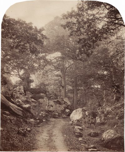  by Alphonse Francois Jeanrenaud