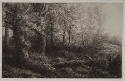 Woodland Çalışması by Alphonse Legros