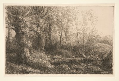 Woodland Çalışması by Alphonse Legros