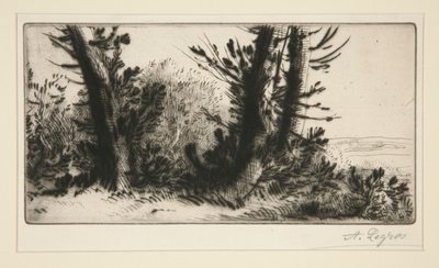Bir travers şampiyonu (Ülke Boyunca) by Alphonse Legros
